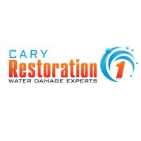 Restoration 1 of Cary image 12